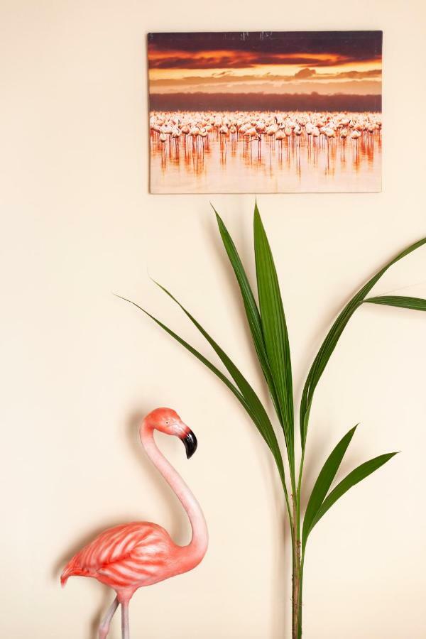 Flamingo Apartment Μάλαγα Εξωτερικό φωτογραφία
