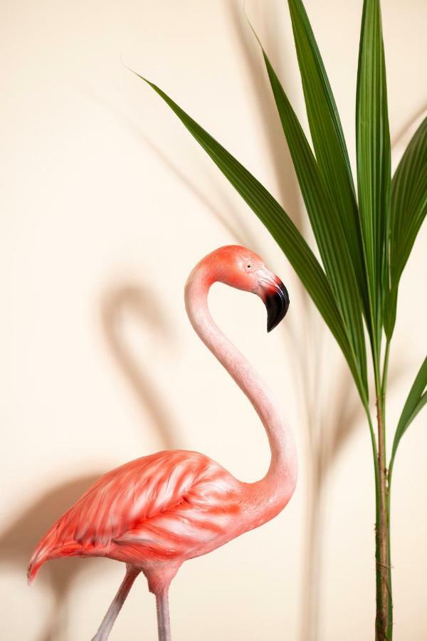 Flamingo Apartment Μάλαγα Εξωτερικό φωτογραφία